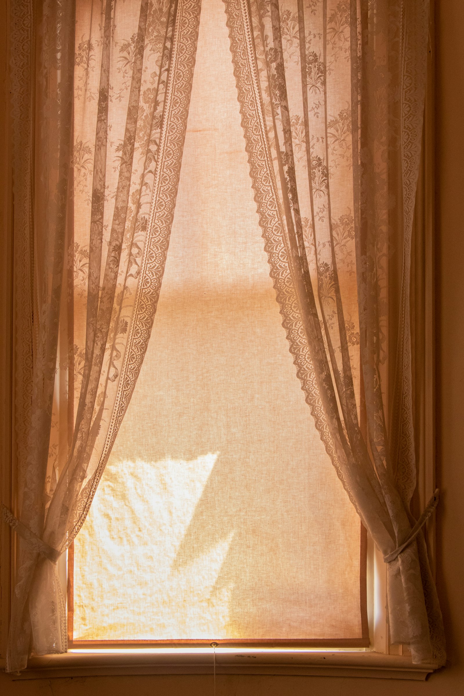 Terracotta lace sheer curtains tied back at a tall window with glowing afternoon light